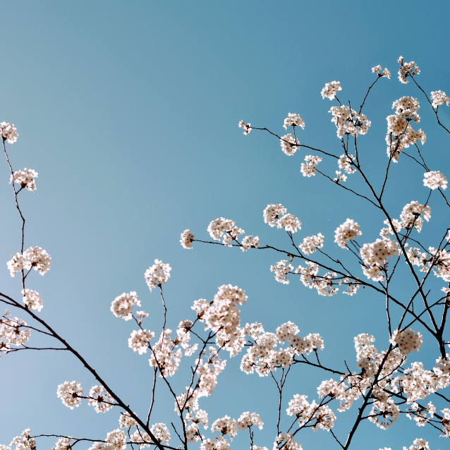 5 Personal Growth Books