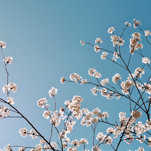 5 Personal Growth Books