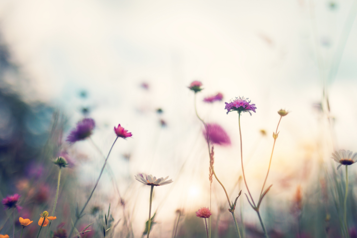 10 Ways to Find Your Way Back to Yourself When You Feel Overwhelmed