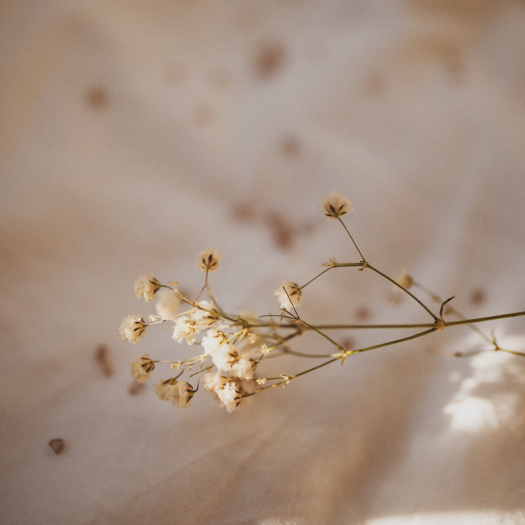 5 Books to Find Balance & Inner Peace