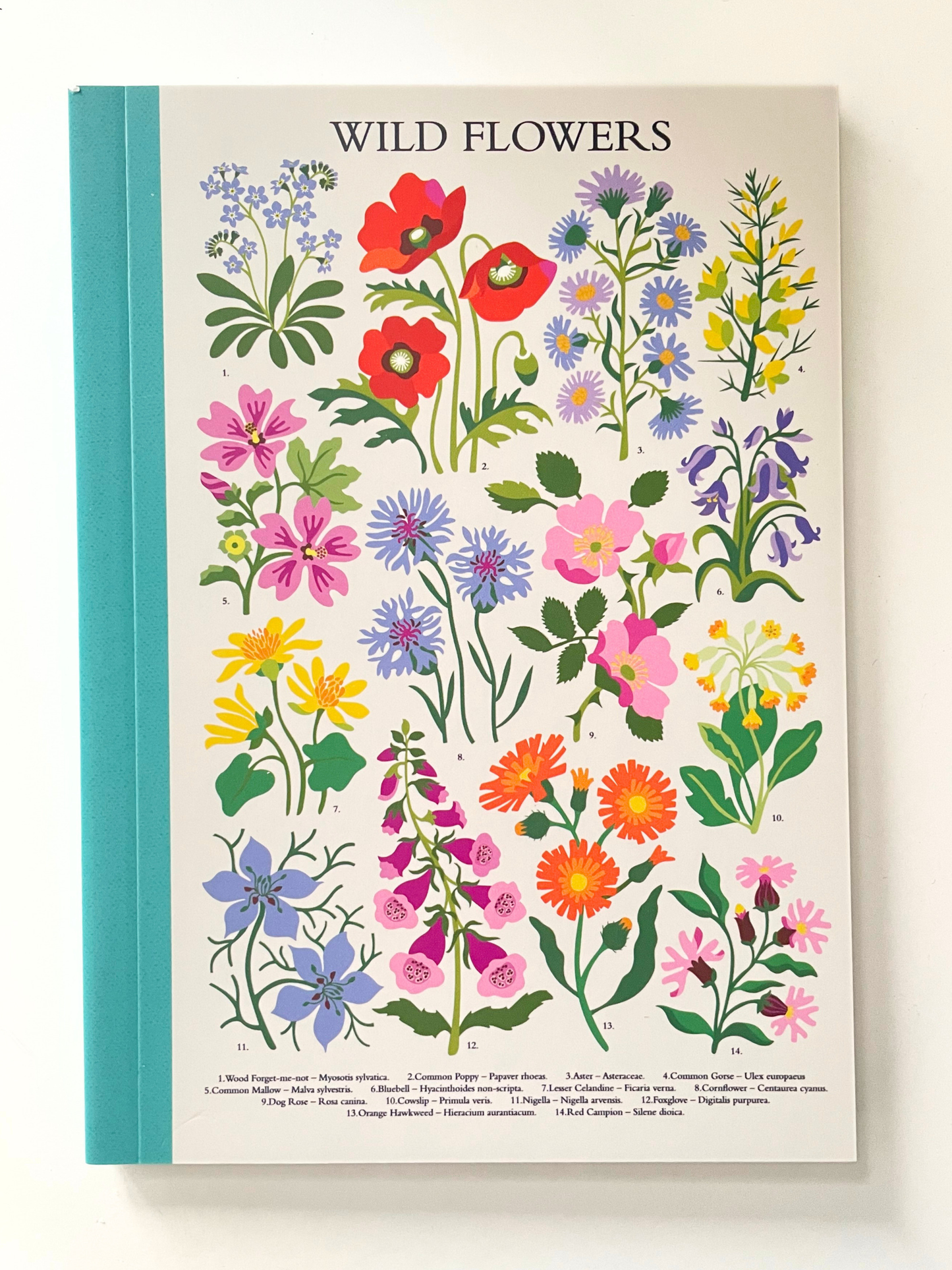 A hardcover book titled 'WILD FLLOWERS' with a cream cover printed with colorful botanical illustrations of various flowers, featuring a teal spine, photographed against a neutral off-white background.